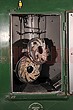 Shot Blasting